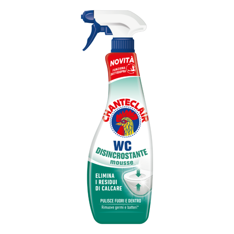 CHA0193.pngChante Clair WC Disincrostante - Odkamieniacz do toalet, pianka (625 ml)